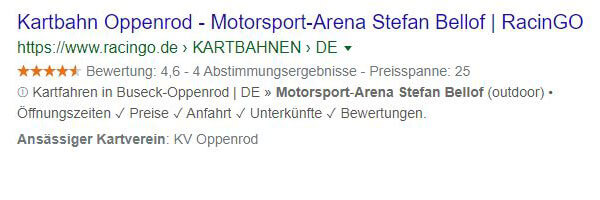 Google Ergebnis Beispiel 3